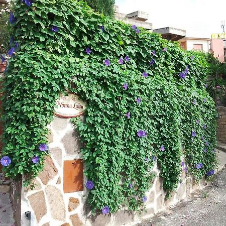 B&B Nonna Luisa Tarquinia Εξωτερικό φωτογραφία