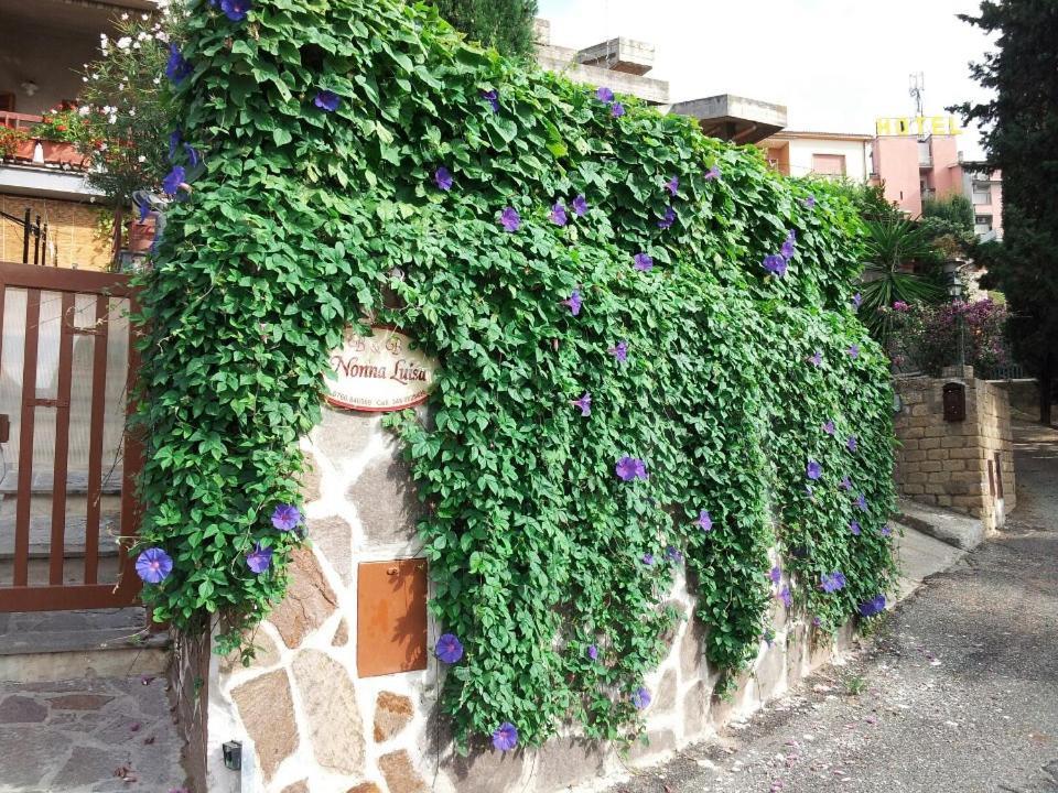 B&B Nonna Luisa Tarquinia Εξωτερικό φωτογραφία